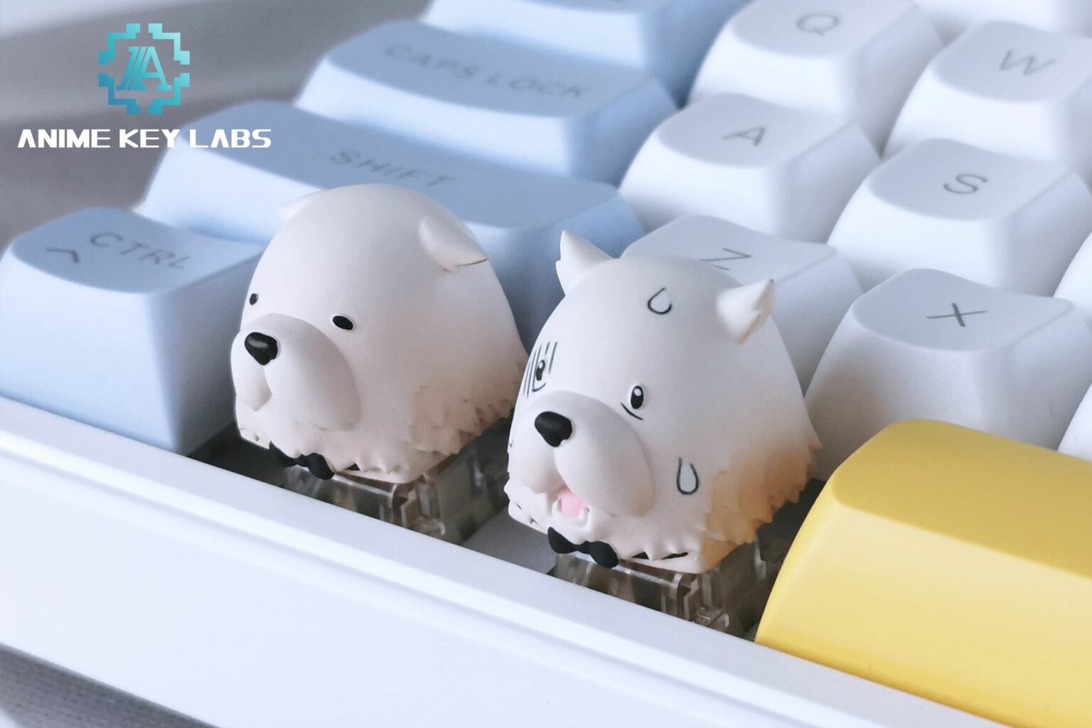 3D KeyCaps - ANIME KEY LABS